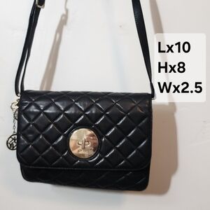 DKNY Black Quilted Crossbody with Gold Disc Logo